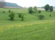 Satılır 40 sot torpaq Quba