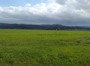 Satılır 2000 sot torpaq Quba