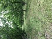 Satılır 80 sot torpaq Şabran