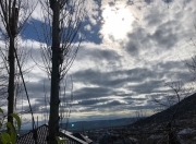 Satılır 15 sot torpaq Şəki