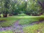 Satılır 48 sot torpaq Oğuz