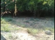 Satılır 14 sot torpaq Kürdəmir