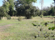 Satılır 20 sot torpaq Qəbələ