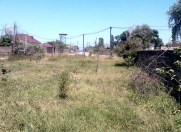 Satılır 6 sot torpaq Xaçmaz