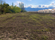 Satılır 75 sot torpaq Şəmkir