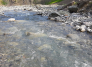 Satılır 9 sot torpaq İsmayıllı