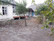 Satılır 5 sot torpaq Qəbələ