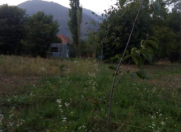 Satılır 2 sot torpaq Qəbələ