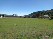 Satılır 15 sot torpaq Qusar