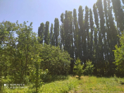 Satılır 40 sot torpaq Qusar