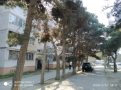 Satılır 2 otaqlı 51 m2 köhnə tikili 8 km