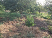 Satılır 6 sot torpaq Quba