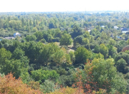 Satılır 10 sot torpaq Qəbələ