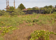 Satılır 11 sot torpaq Sumqayıt