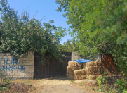 Satılır 12 sot torpaq Qəbələ