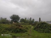 Satılır 10 sot torpaq Quba