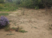 Satılır 10 sot torpaq Xaçmaz