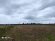 Satılır 1.83 sot torpaq Xaçmaz