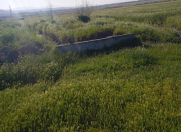 Satılır 857 sot torpaq Şabran