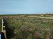 Satılır 3 sot torpaq Sumqayıt