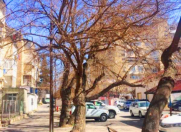 Satılır 3 otaqlı 65 m2 köhnə tikili Yasamal parkı