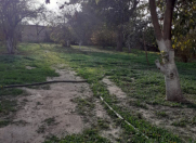 Satılır 5 otaqlı 10 m2 bağ evi Sumqayıt