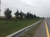 Satılır 150 sot torpaq Xırdalan