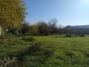 Satılır 40 sot torpaq Qəbələ