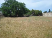 Satılır 15 sot torpaq Göyçay