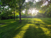 Satılır 60 sot torpaq Qəbələ