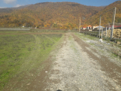 Satılır 10 sot torpaq Qəbələ