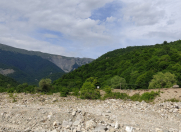 Satılır 12 sot torpaq İsmayıllı