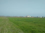 Satılır 1.04 sot torpaq Xaçmaz