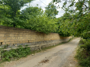 Satılır 16 sot torpaq İsmayıllı