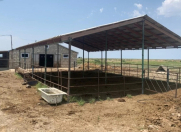 Satılır 20 otaqlı 2000 m2 obyekt Masallı