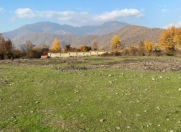 Satılır 12 sot torpaq Qəbələ