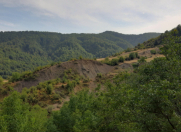 Satılır 9 sot torpaq İsmayıllı