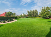 Satılır 4 sot torpaq Buzovna