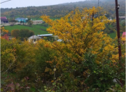 Satılır 8 sot torpaq Şabran