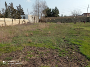 Satılır 10 sot torpaq Novxanı