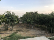 Satılır 3 sot torpaq Badamdar