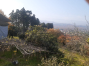 Satılır 200 sot torpaq Astara