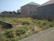 Satılır 2 sot torpaq Y.Suraxanı