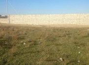 Satılır 12 sot torpaq Zirə