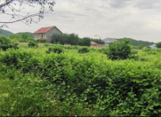 Satılır 0.08 sot torpaq Qəbələ