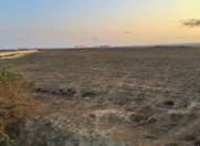 Satılır 6 sot torpaq Sumqayıt