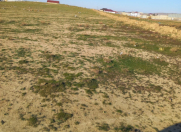 Satılır 15 sot torpaq Abşeron r.