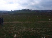 Satılır 200 sot torpaq Mehdiabad