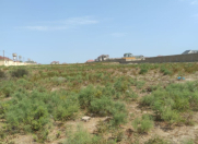 Satılır 10 sot torpaq Hövsan