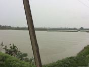 Satılır 900 sot torpaq Sabirabad